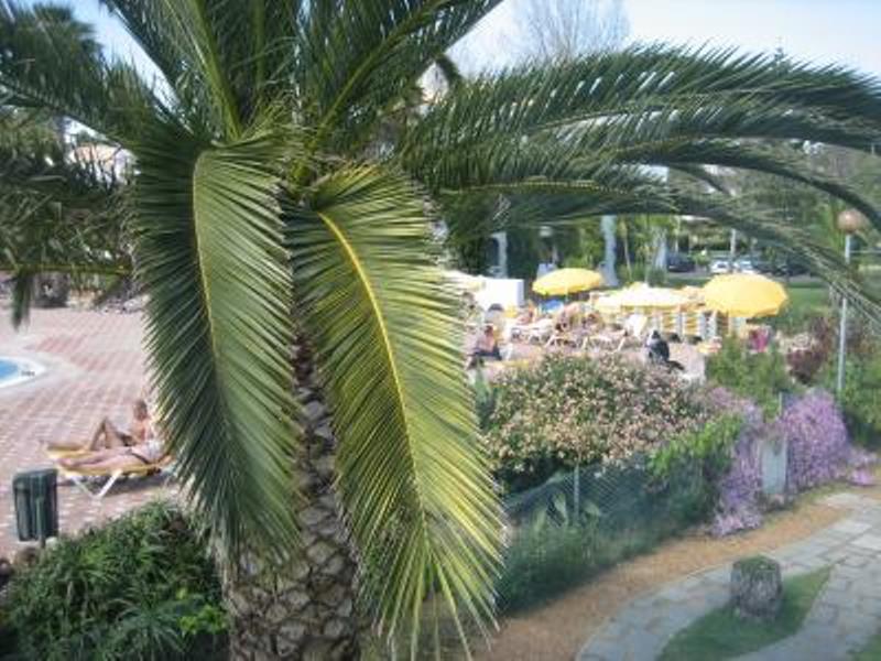 84 : Apartamento T1+1 com pátio Golden  - Cabanas de Tavira