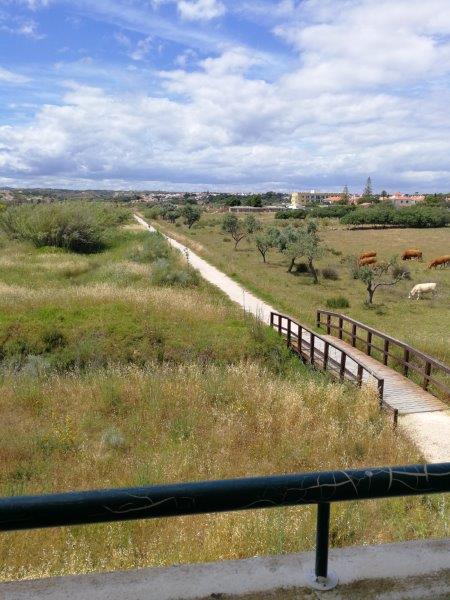 165 : Apartement 1 chambre à Altura - Altura